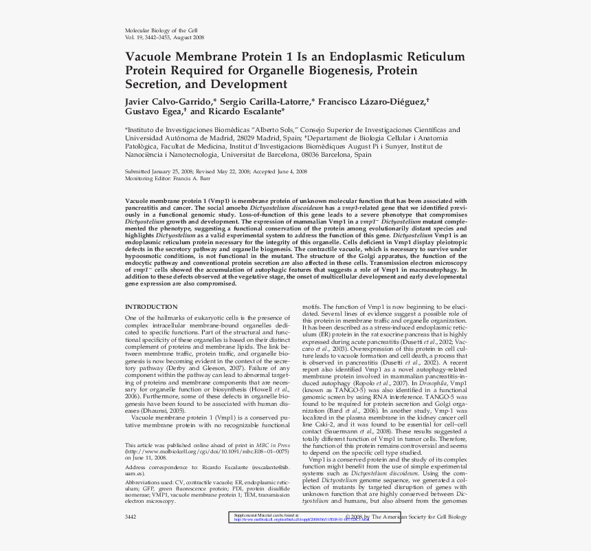 Document, HD Png Download