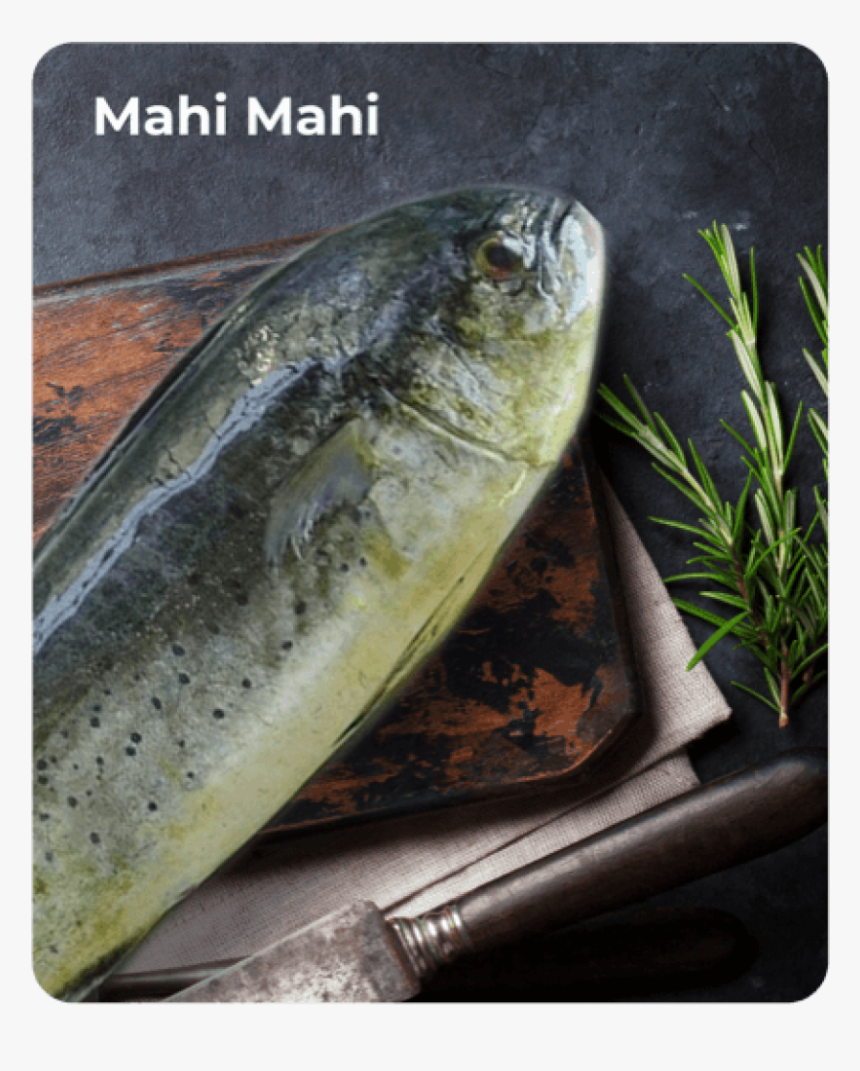 Mahi Mahi - Sauries, HD Png Download