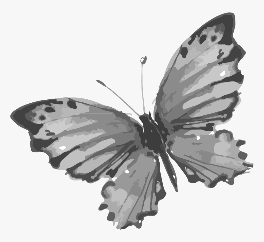 Transparent Steampunk Butterfly Png - Dibujos De Tinta China De Animales, Png Download