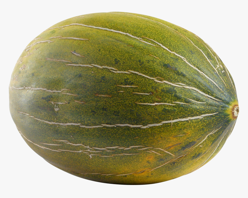 Download This High Resolution Melon Transparent Png - Melon Transparent, Png Download