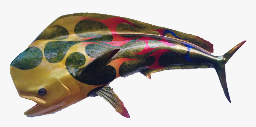 Sailfish, HD Png Download