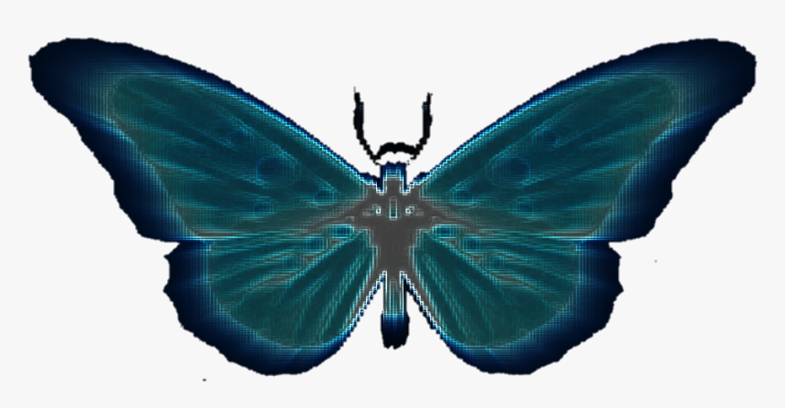 #butterfly #neon - Swallowtail Butterfly, HD Png Download