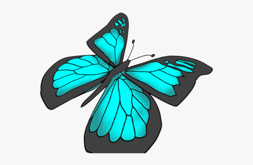 Drawing, HD Png Download