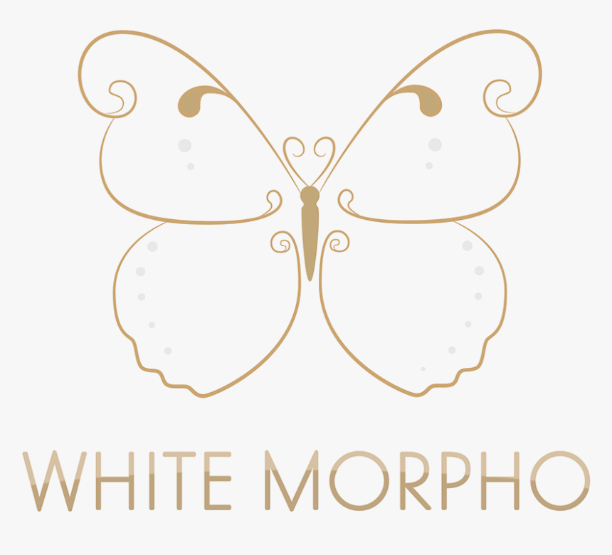 Brush-footed Butterfly, HD Png Download