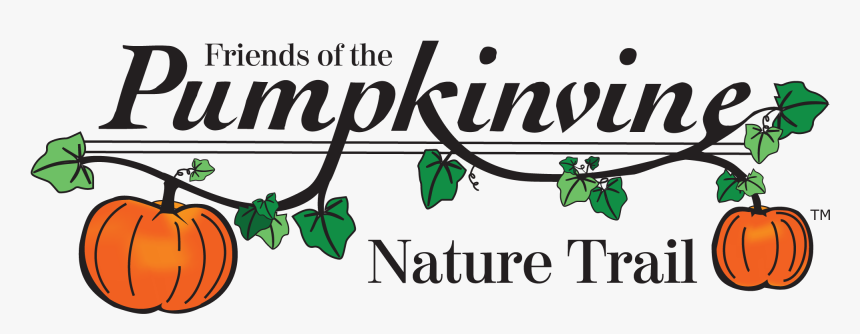 Pumpkin, HD Png Download