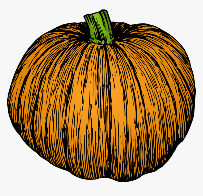 Vegetable,commodity,food - Pumpkin Drawing Transparent Background, HD Png Download