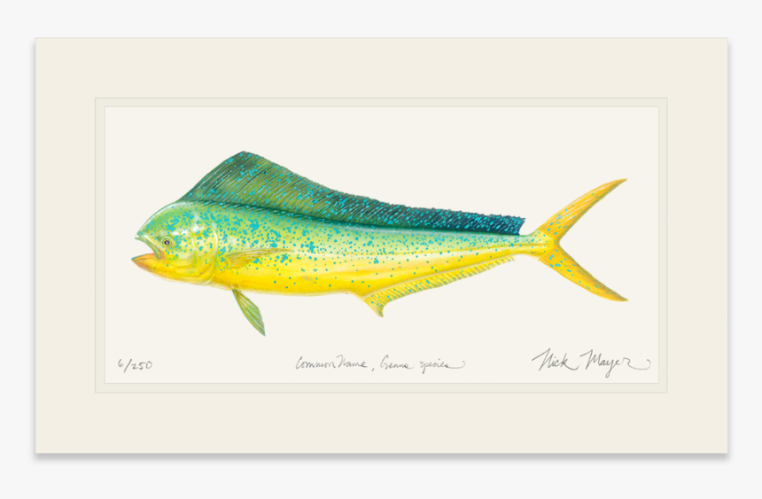 Cow Dorado - Trout, HD Png Download
