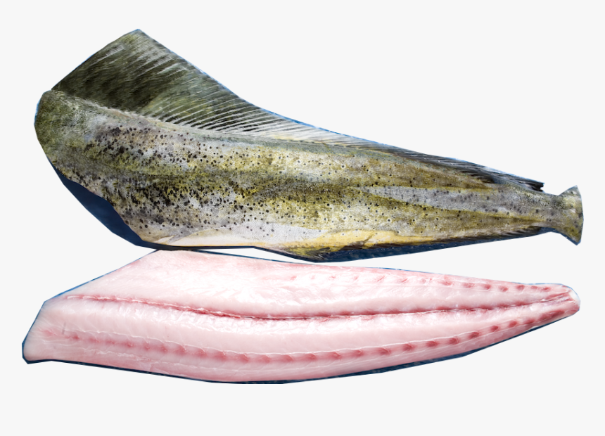 Mahi Mahi Fillet 

 
 Data Rimg Lazy 
 Data Rimg Scale, HD Png Download