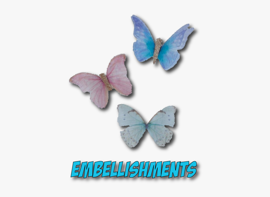 Holly Blue, HD Png Download