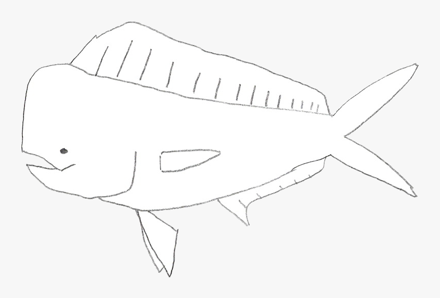 Sketch, HD Png Download