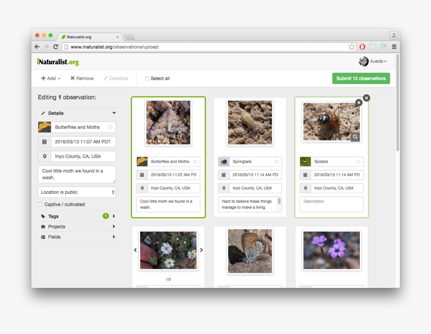 Screenshot, HD Png Download