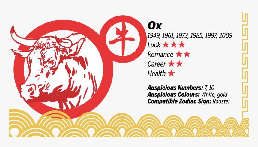 Graphic Design, HD Png Download