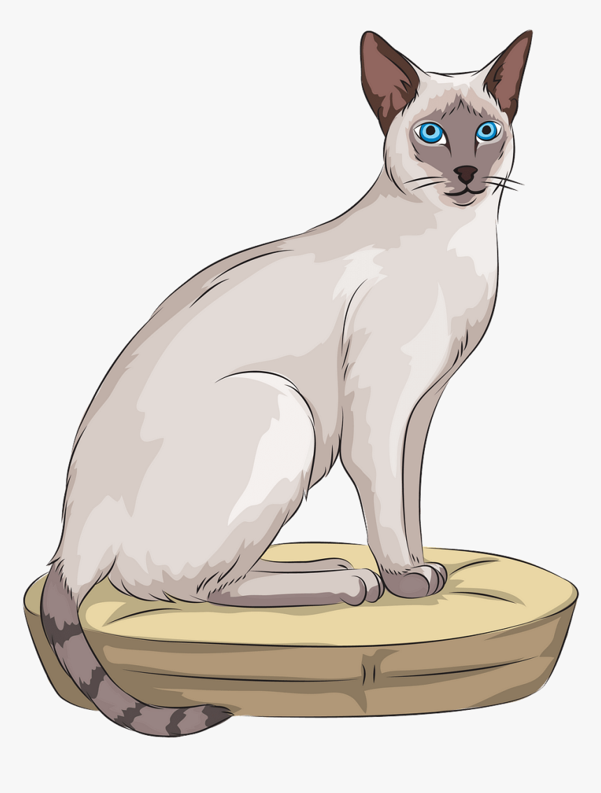 Cat Yawns, HD Png Download