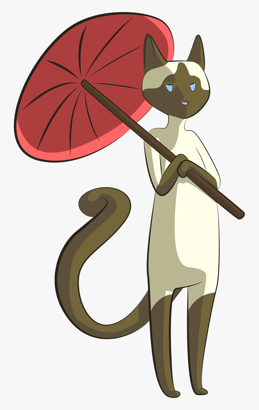 Cat With Umbrella Png, Transparent Png