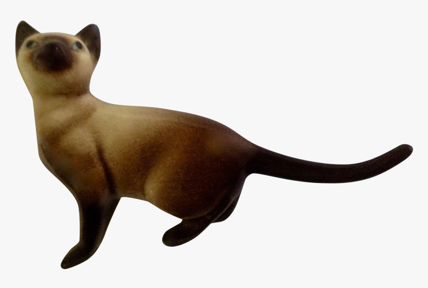 Siamese, HD Png Download
