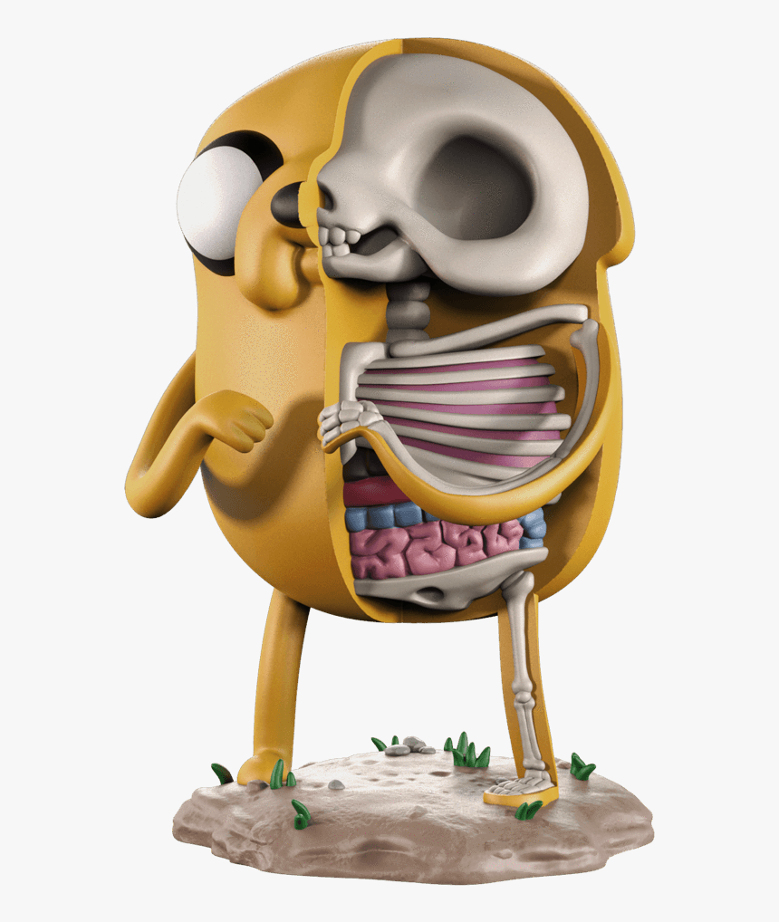 Transparent Cartoon Joint Png - Jake Adventure Time Illustration, Png Download