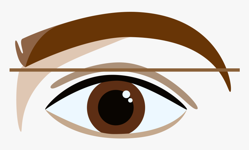 How To Shape Your - Eyebrow, HD Png Download