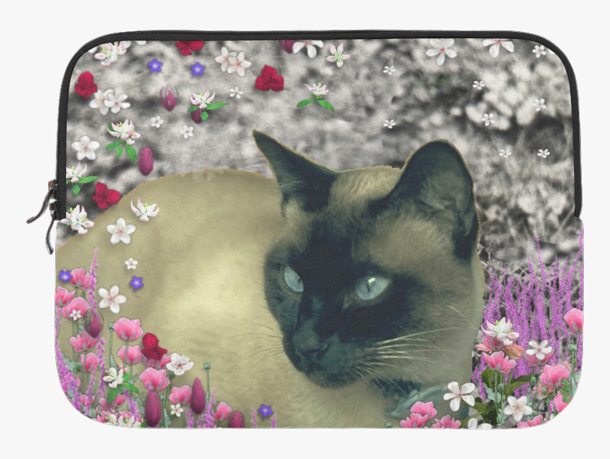 Stella In Flowers I Chocolate Cream Siamese Cat Microsoft, HD Png Download