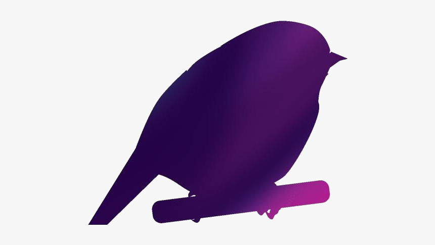 Chickadee Png Transparent Images - Bluebird, Png Download