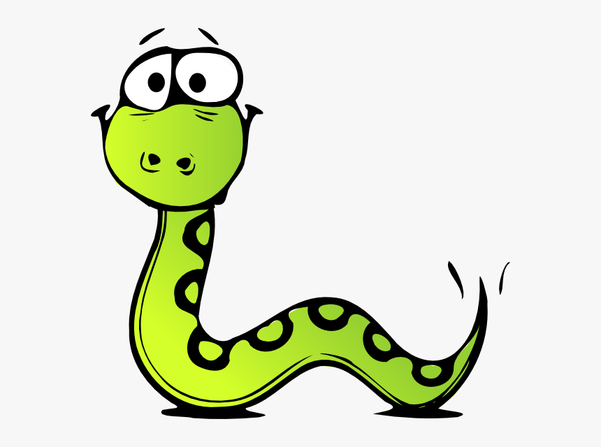 Boa Constrictor Clipart Transparent - Transparent Snake Clipart, HD Png Download