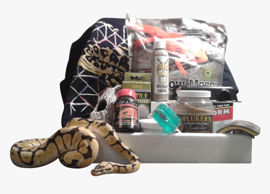 Reptile Subscription Box, HD Png Download