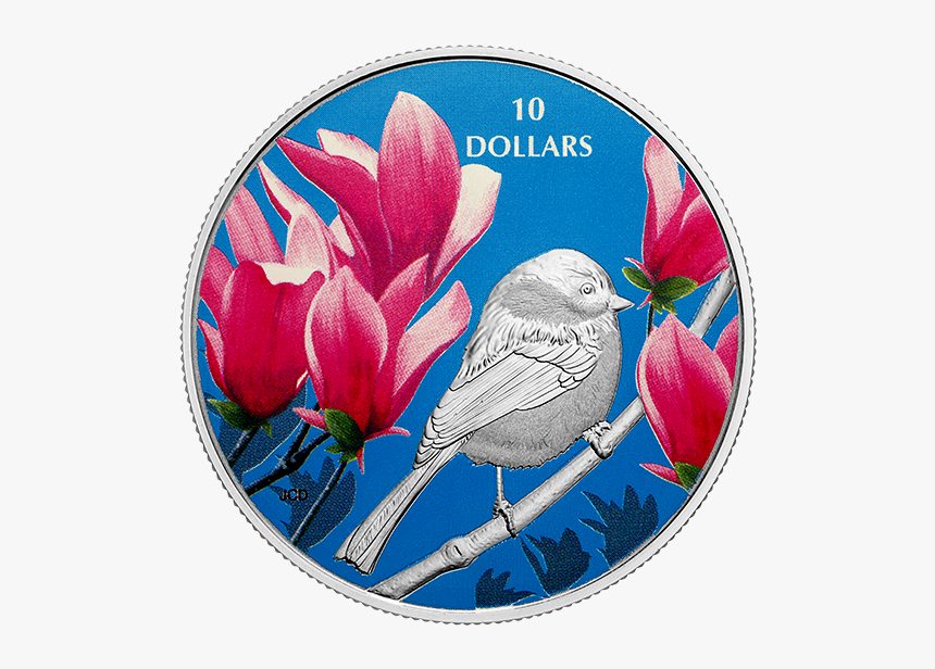 2017 Birds Among Nature's Colours Chickadee, HD Png Download