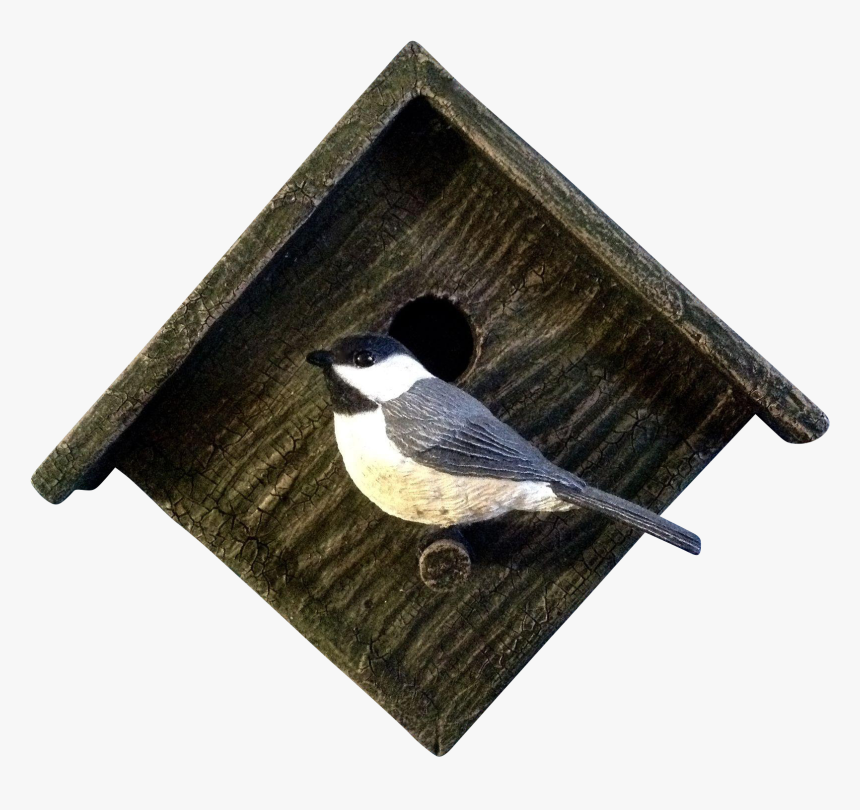 Black Capped Chickadee, HD Png Download
