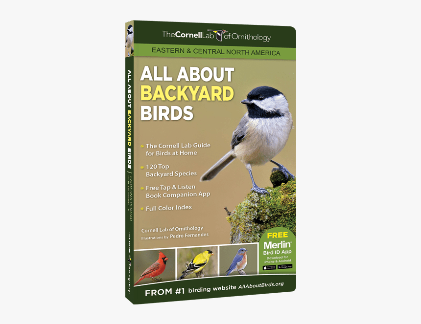 All About Backyard Birds - Eastern And Central North, HD Png Download