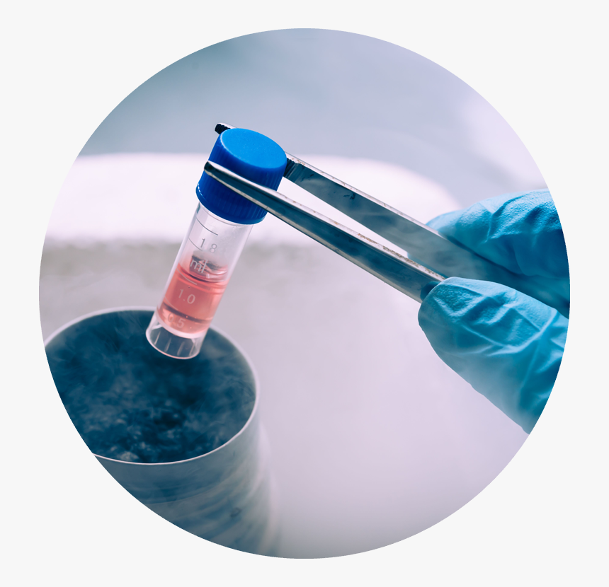 Arizona Associates For Reproductive Health - Cryopreservation Png, Transparent Png