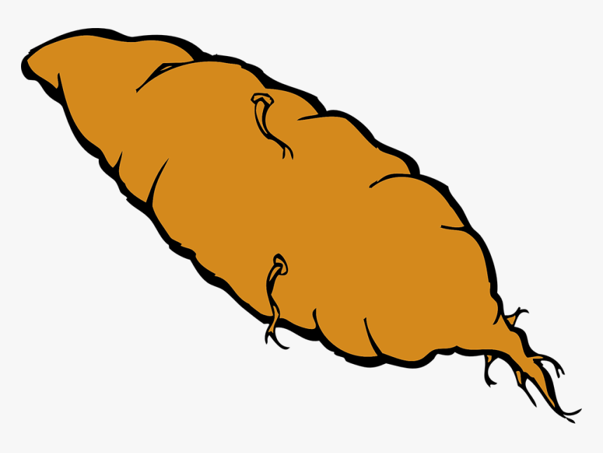 Sweet, Potato, Root, Yam, Food, Veggie, Vegetables, - Sweet Potato Clip Art, HD Png Download