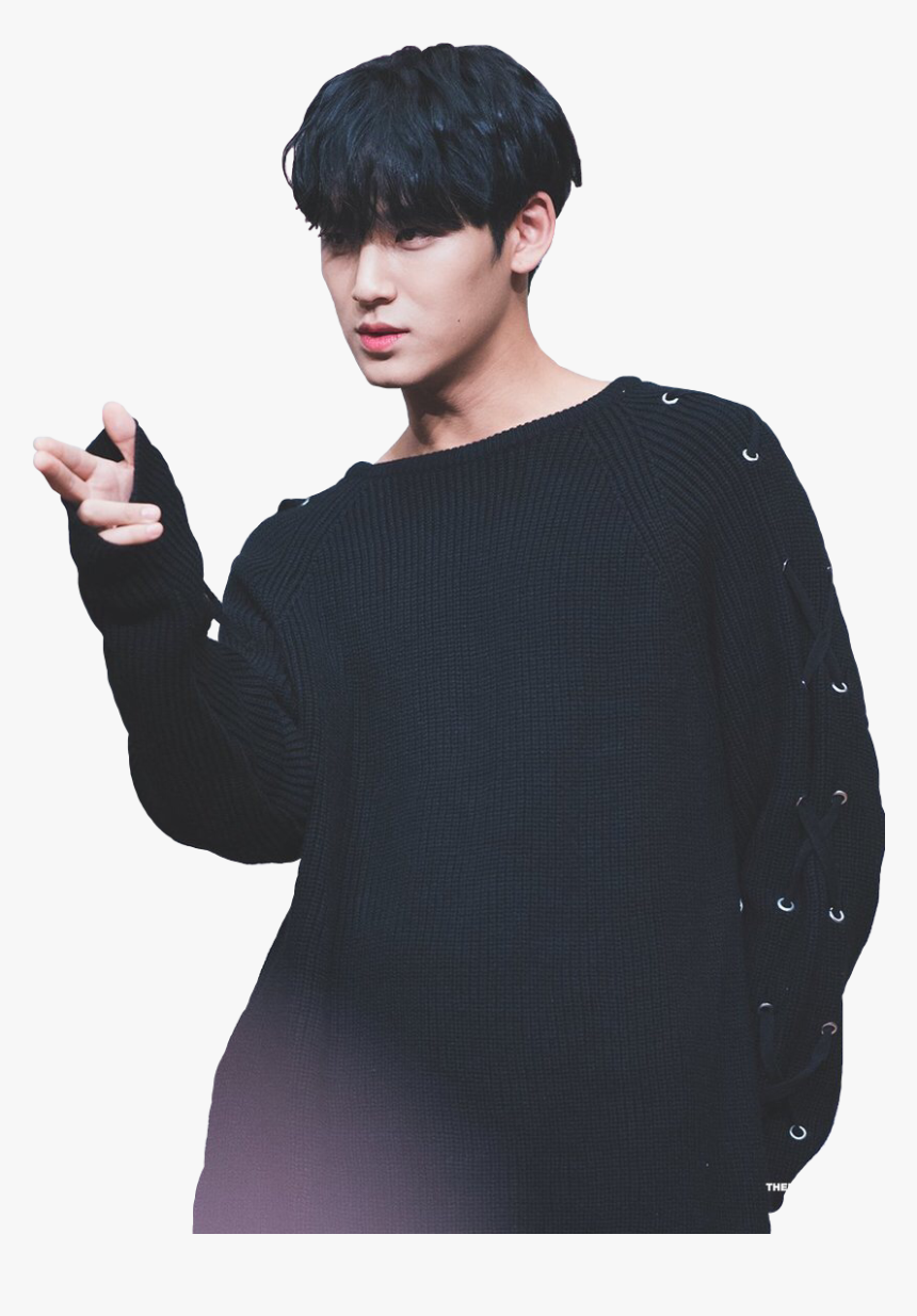 Transparent Mingyu Png - Mingyu Png, Png Download