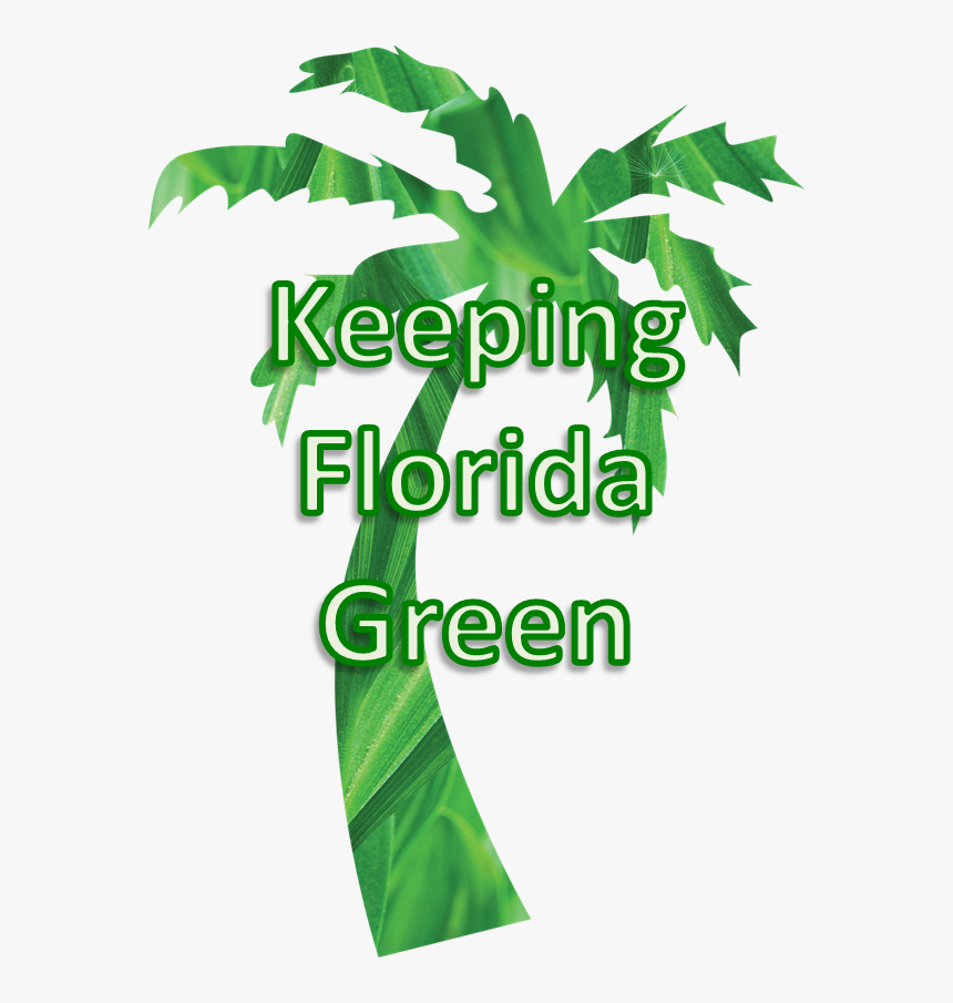 Tropical Beach [1] Ornament Clipart (594x825), Png - Palm, Transparent Png