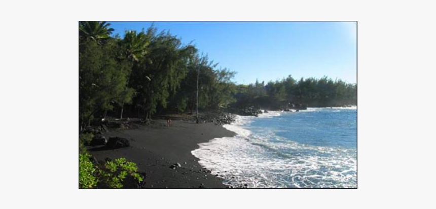 30 Foot Diameter On 8 Warm Acres Tropical Fruit Trees - Beach Ridge, HD Png Download