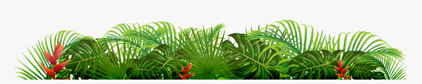 Saw Palmetto, HD Png Download
