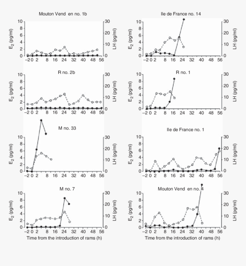 Diagram, HD Png Download