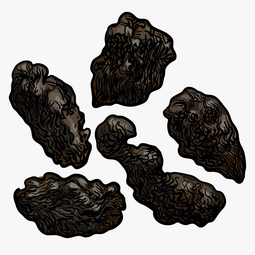 Rodent , Png Download - Oak, Transparent Png
