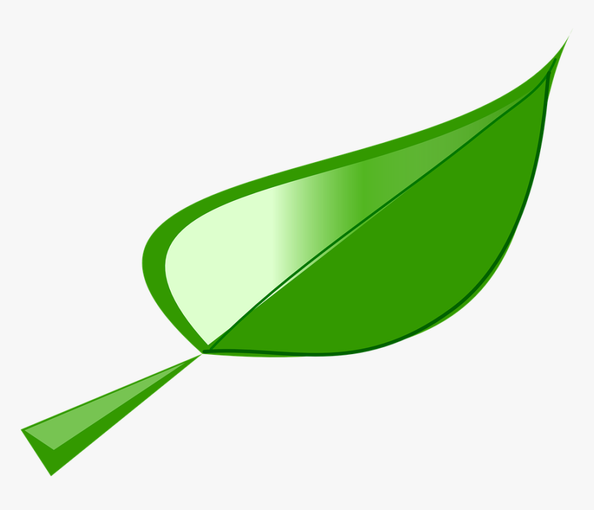 Leaf Graphic 21, Buy Clip Art - Leaf Free Clipart, HD Png Download