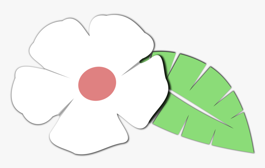 Petal,plant,flowering Plant - Clip Art, HD Png Download