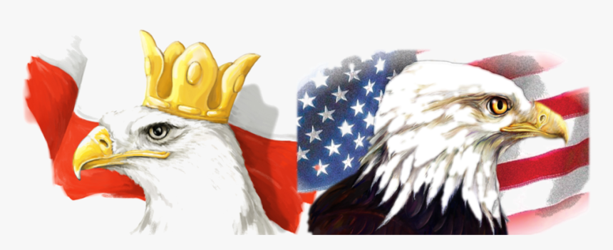 Toledo Polish-american Festival - Polish And American Eagle, HD Png Download