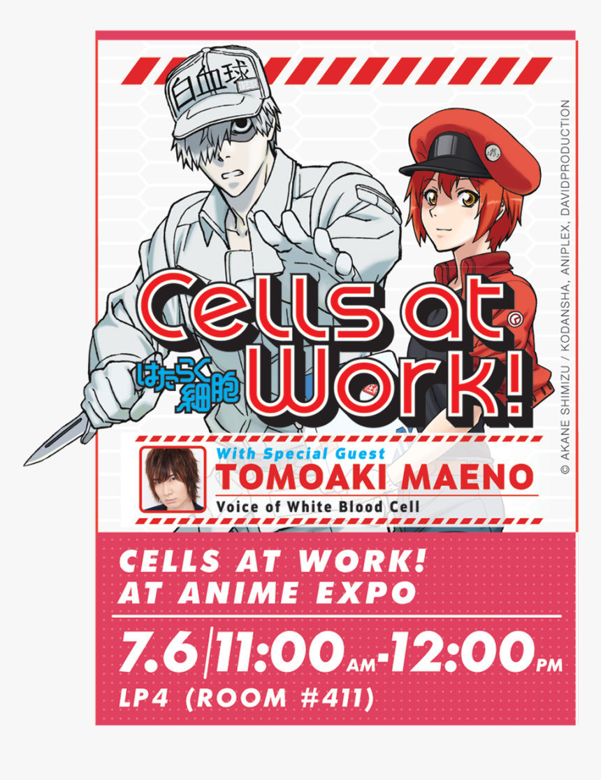 Poster, HD Png Download