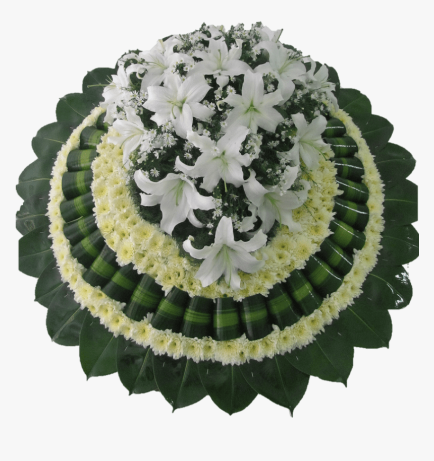 Imagen58, HD Png Download