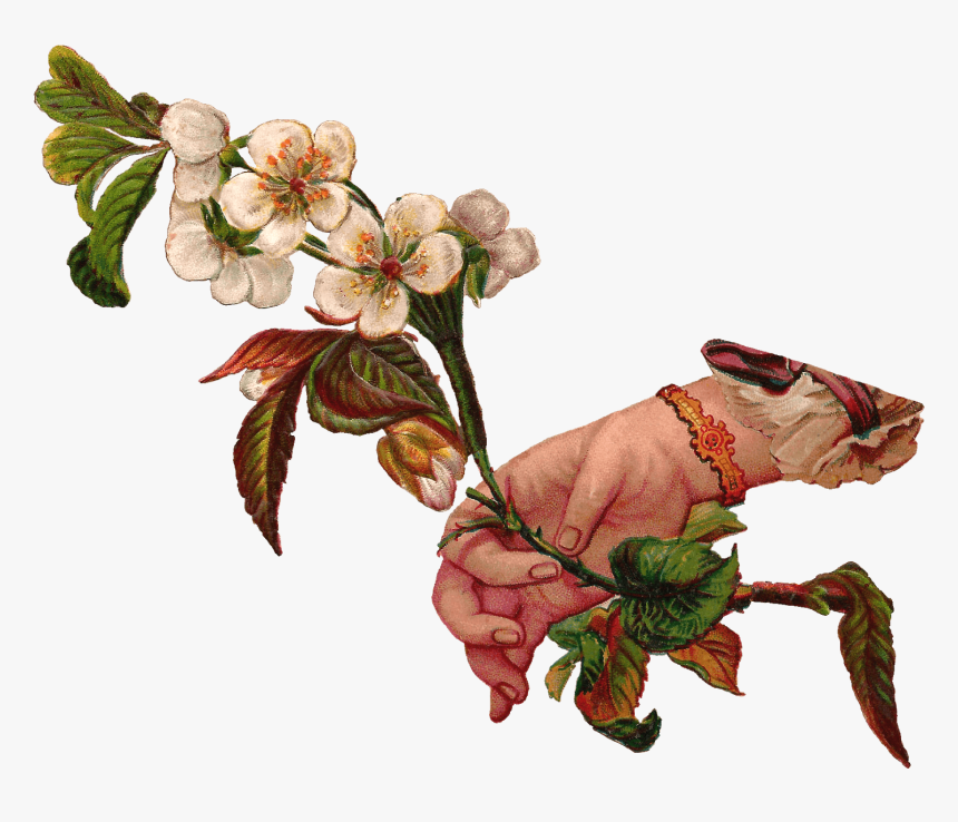 Hand Giving Flowers - Png Hand With Flowers Vintage, Transparent Png