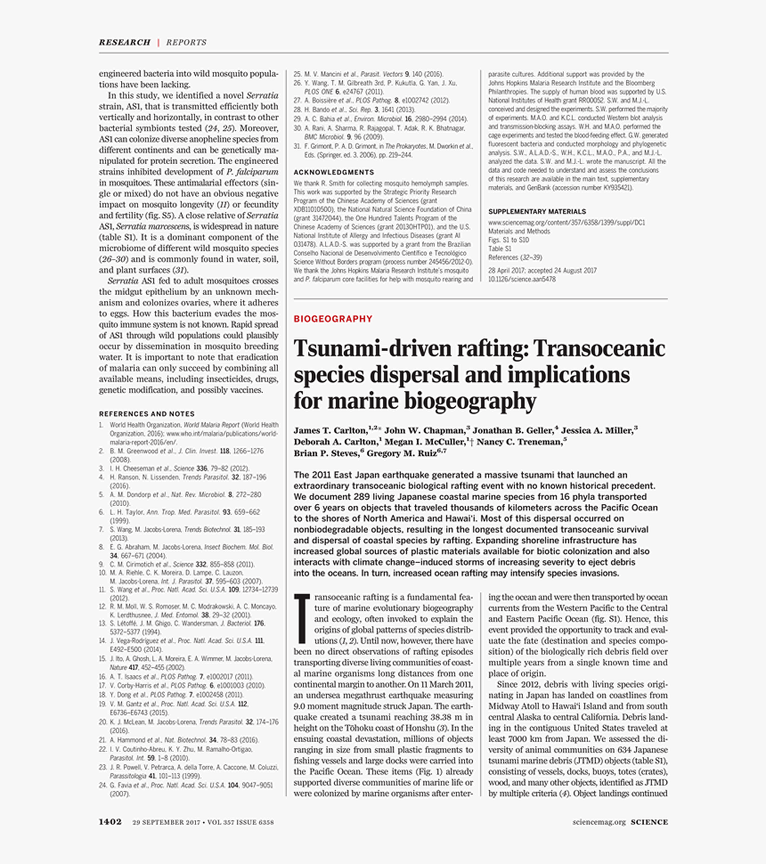 Conservadorismo, HD Png Download