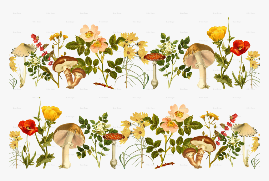 Garden Roses, HD Png Download