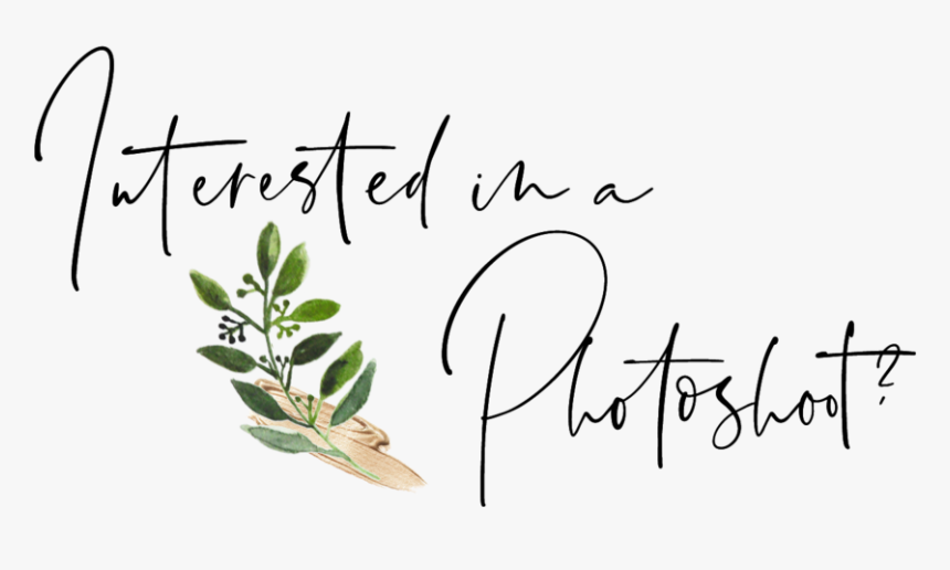 Jessiecreative Photoshoot - Calligraphy, HD Png Download