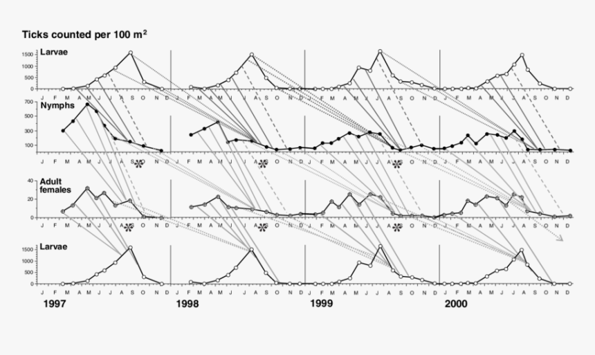 Diagram, HD Png Download