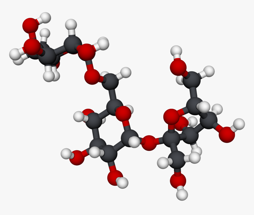 File - Rafinosa-3d - Raffinose Molecule, HD Png Download