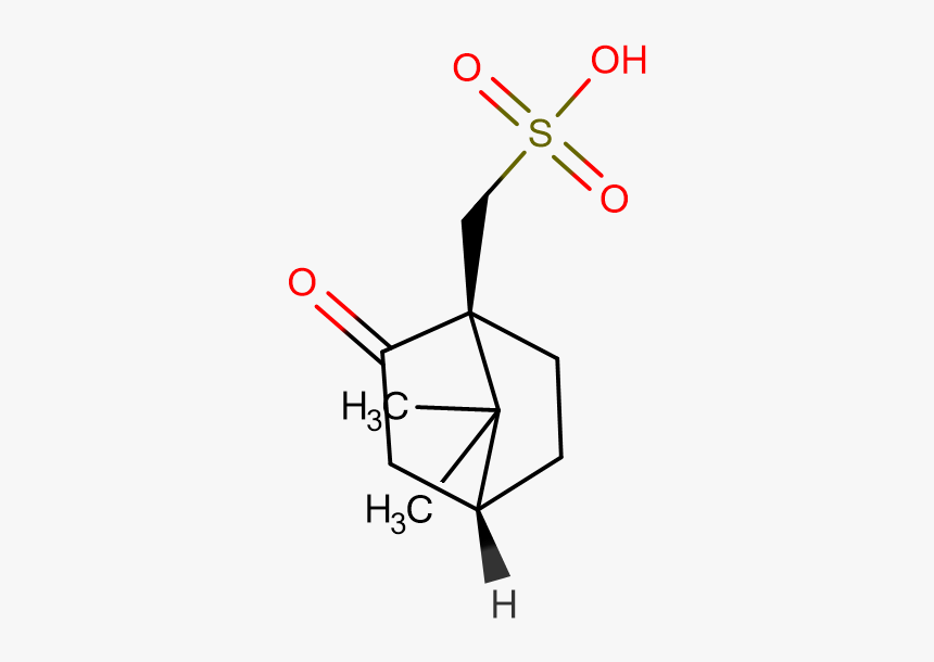 ( ) 10 Camphorsulfonic Acid - Taurina, HD Png Download