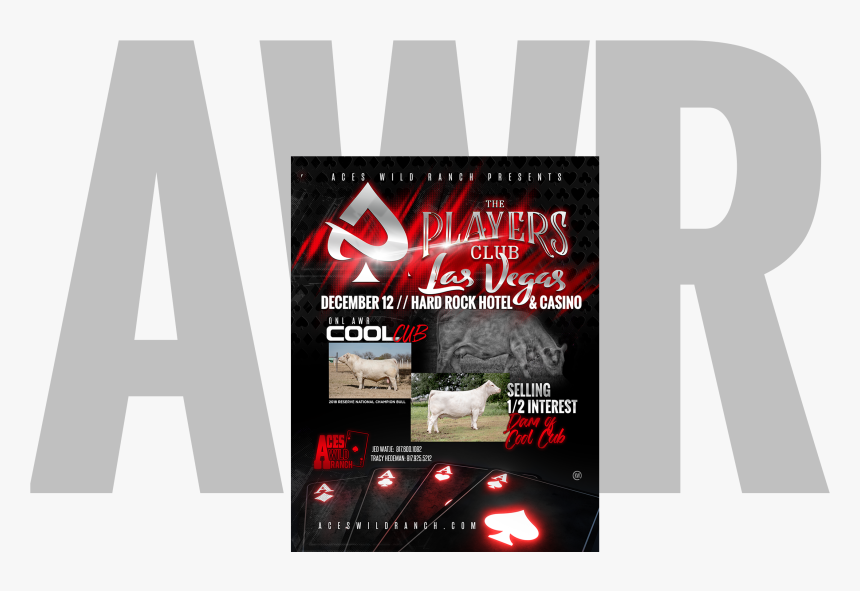 Flyer, HD Png Download