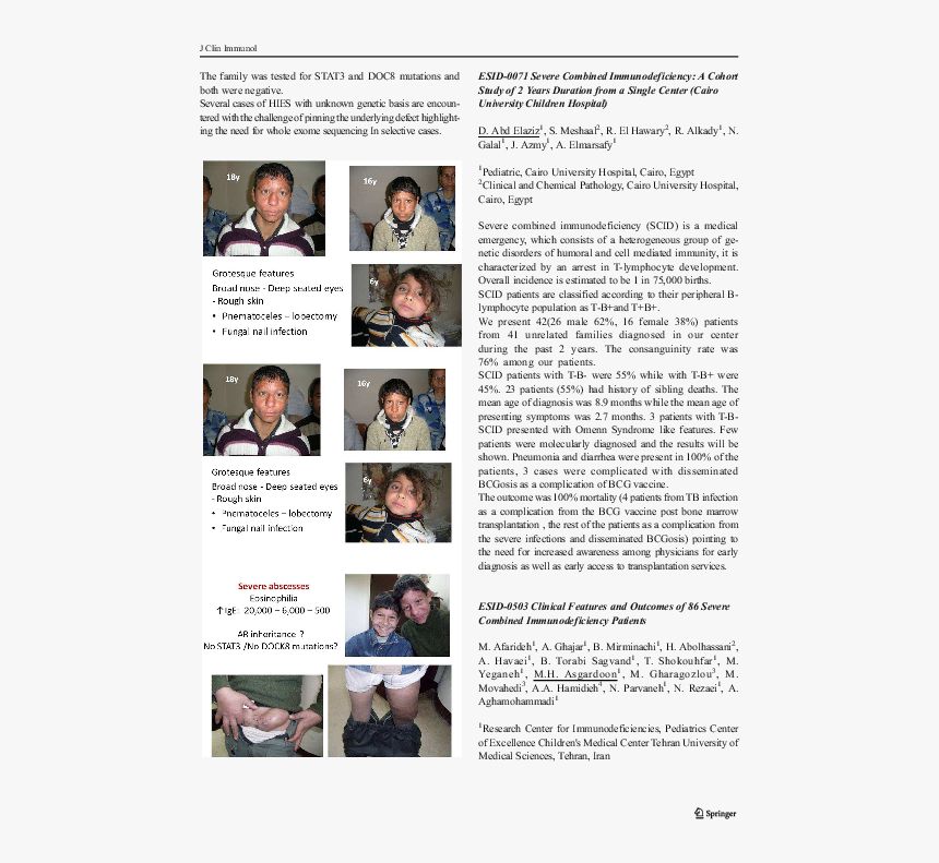Document, HD Png Download